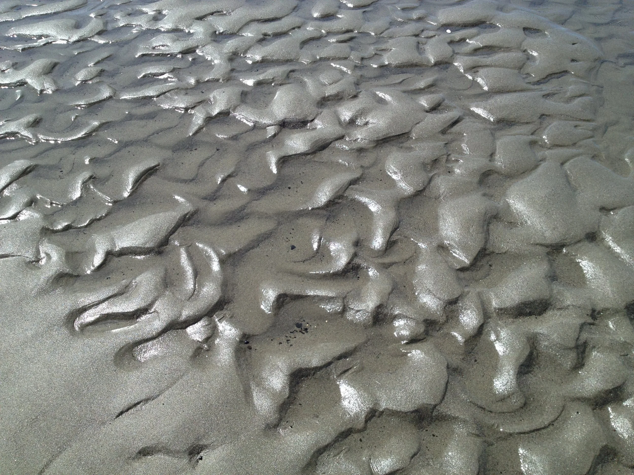 Mendocino Shore Mud