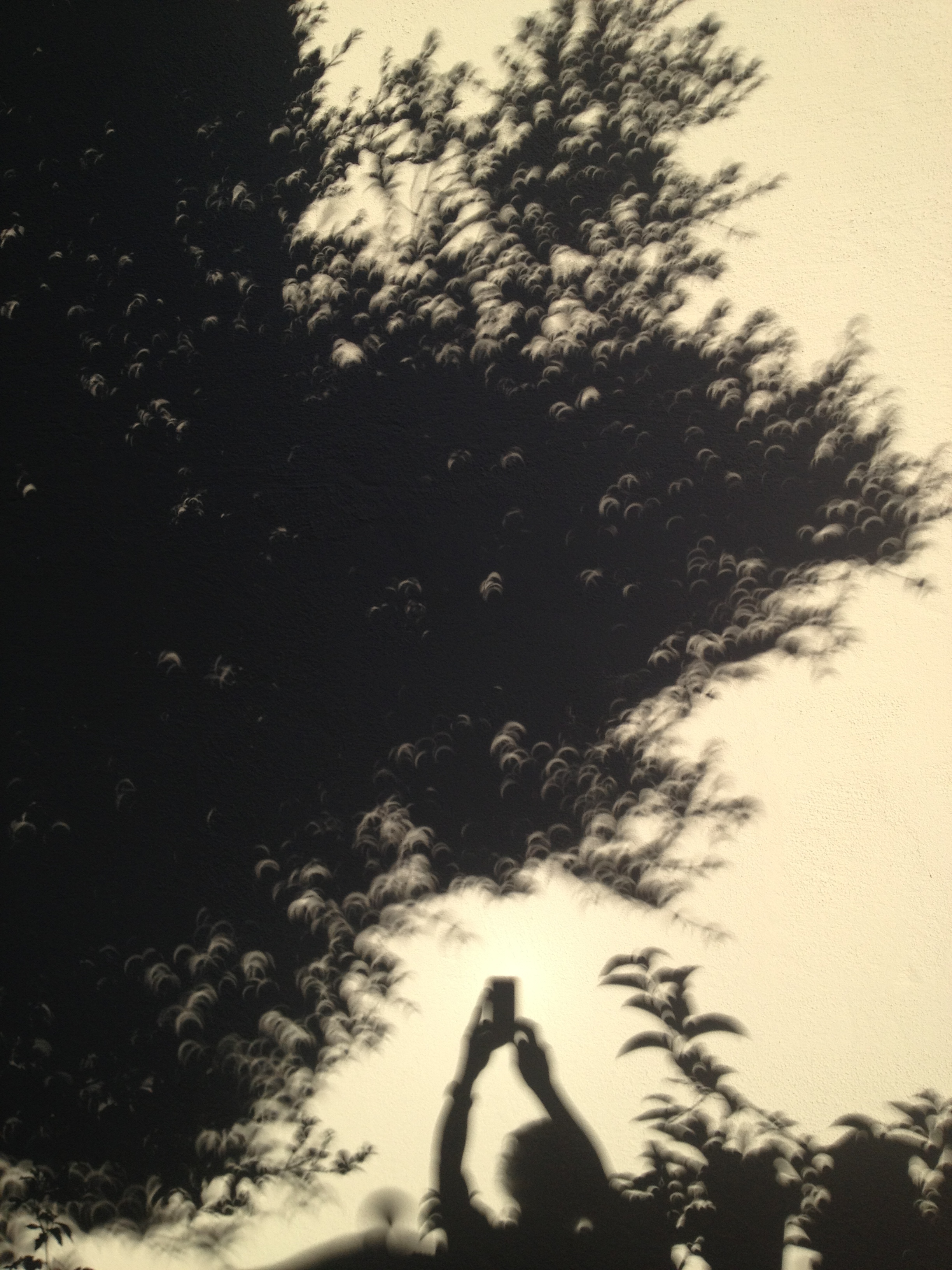 Solar Eclipse 20 May 2012