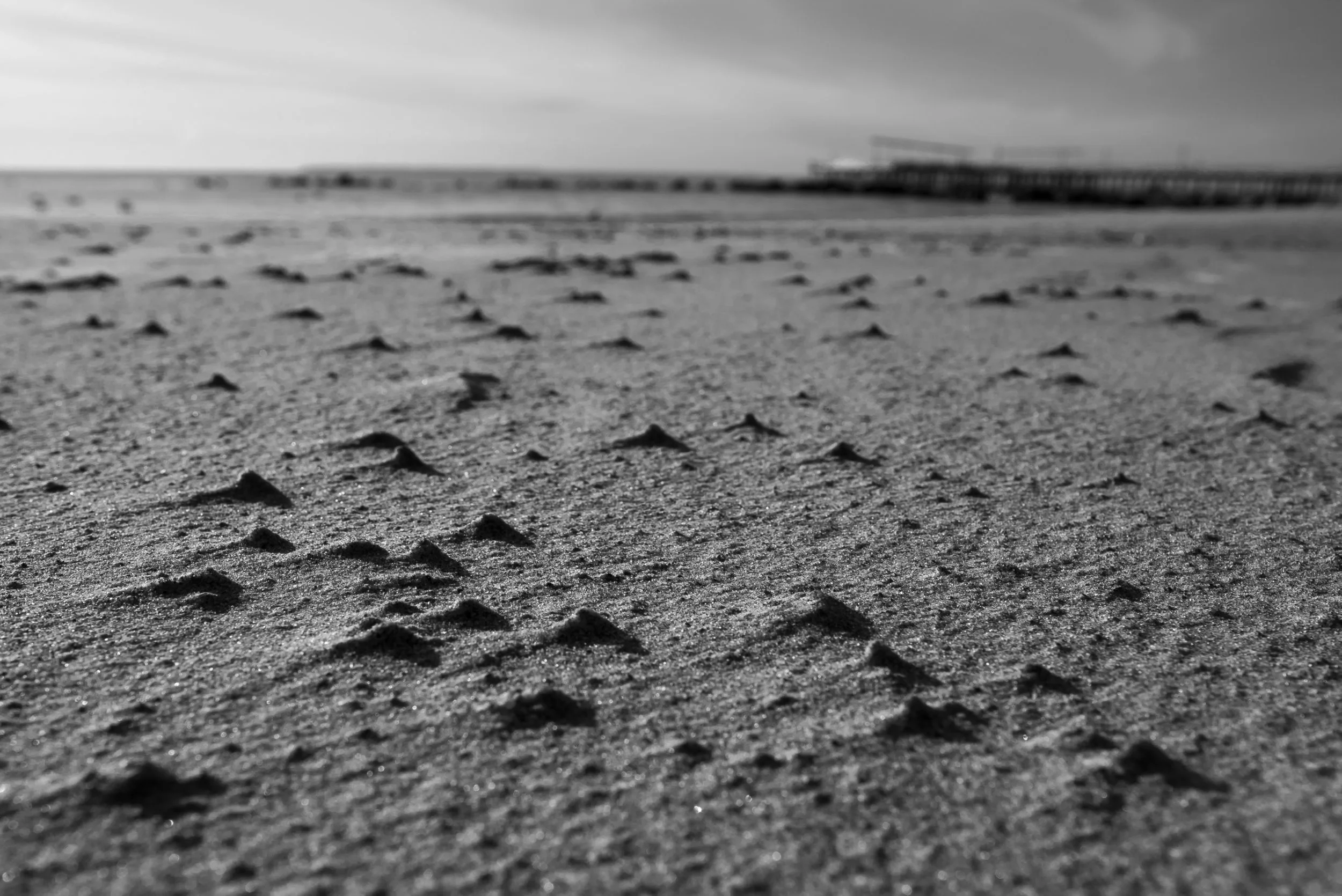 Macro Dunes.jpg