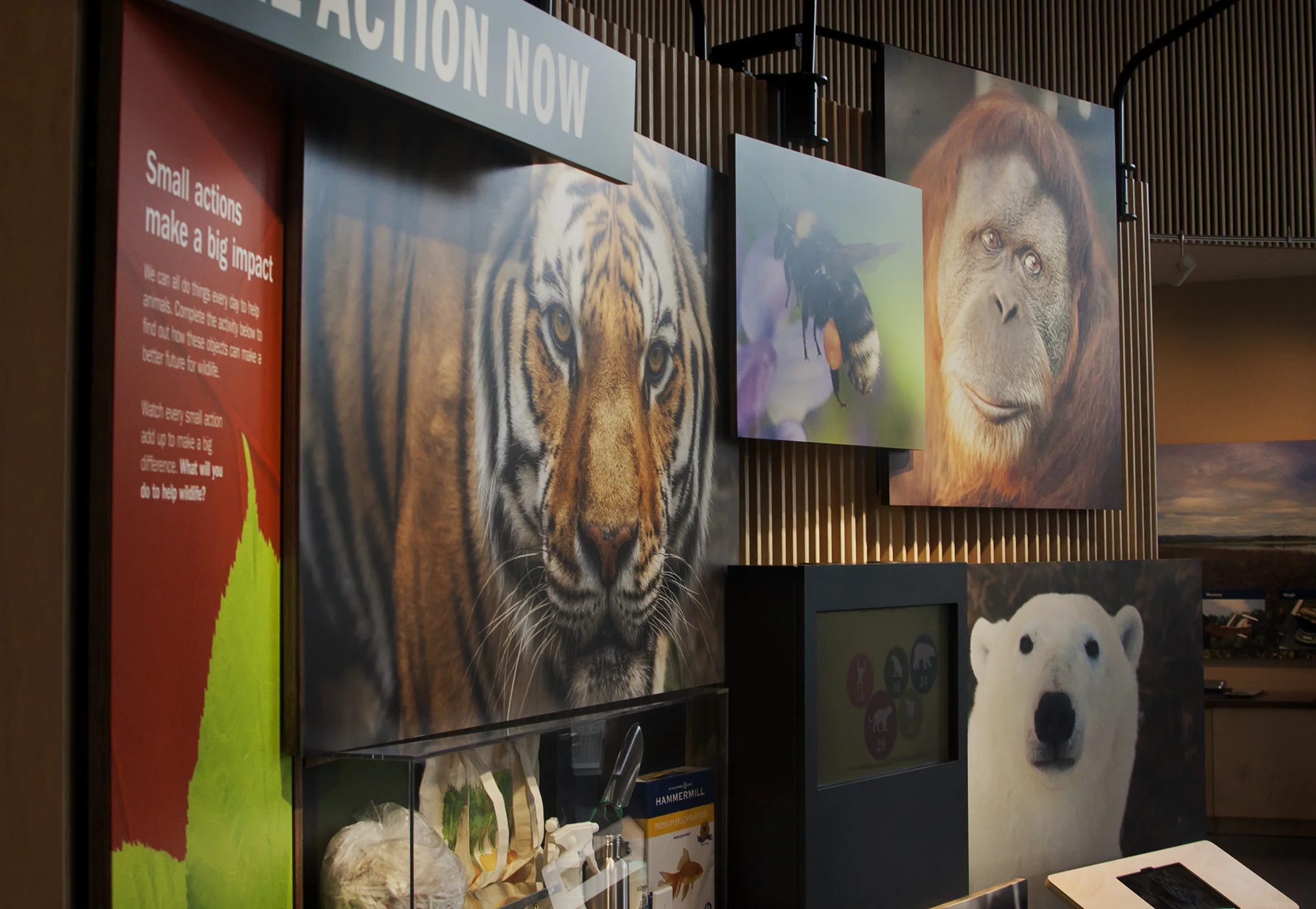 zoo-ed-3.jpg