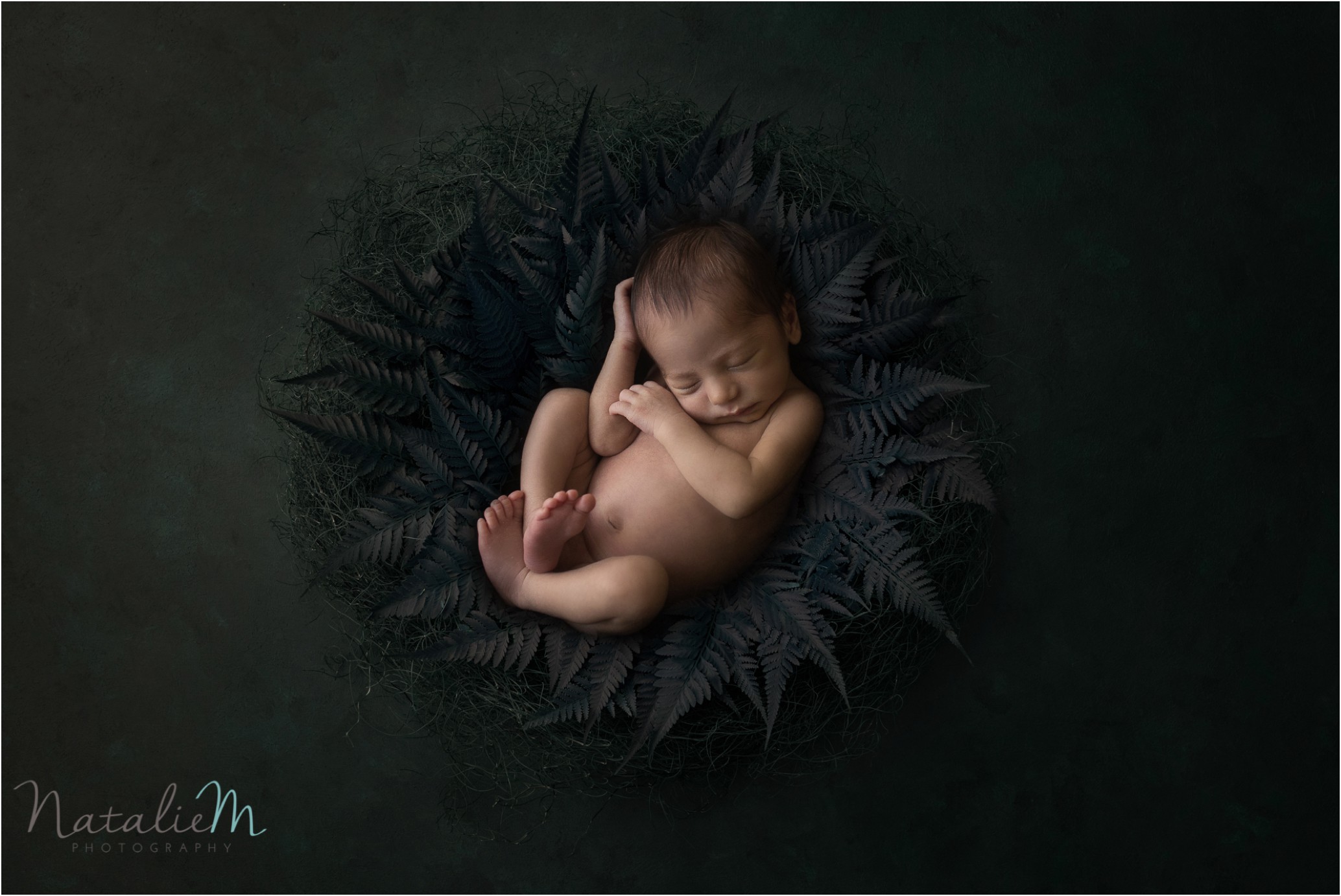 Newborn Photography Geelong_1121.jpg