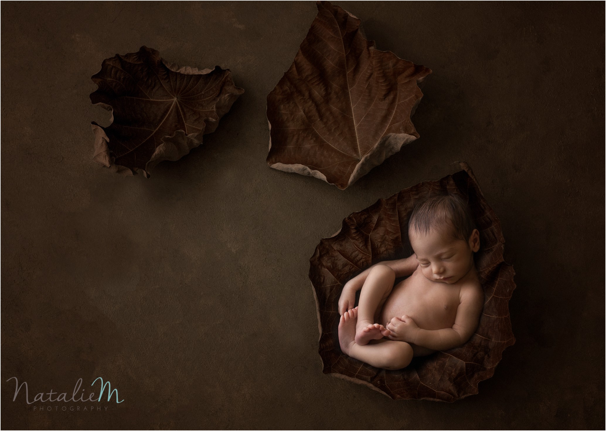 Newborn Photography Geelong_1134.jpg