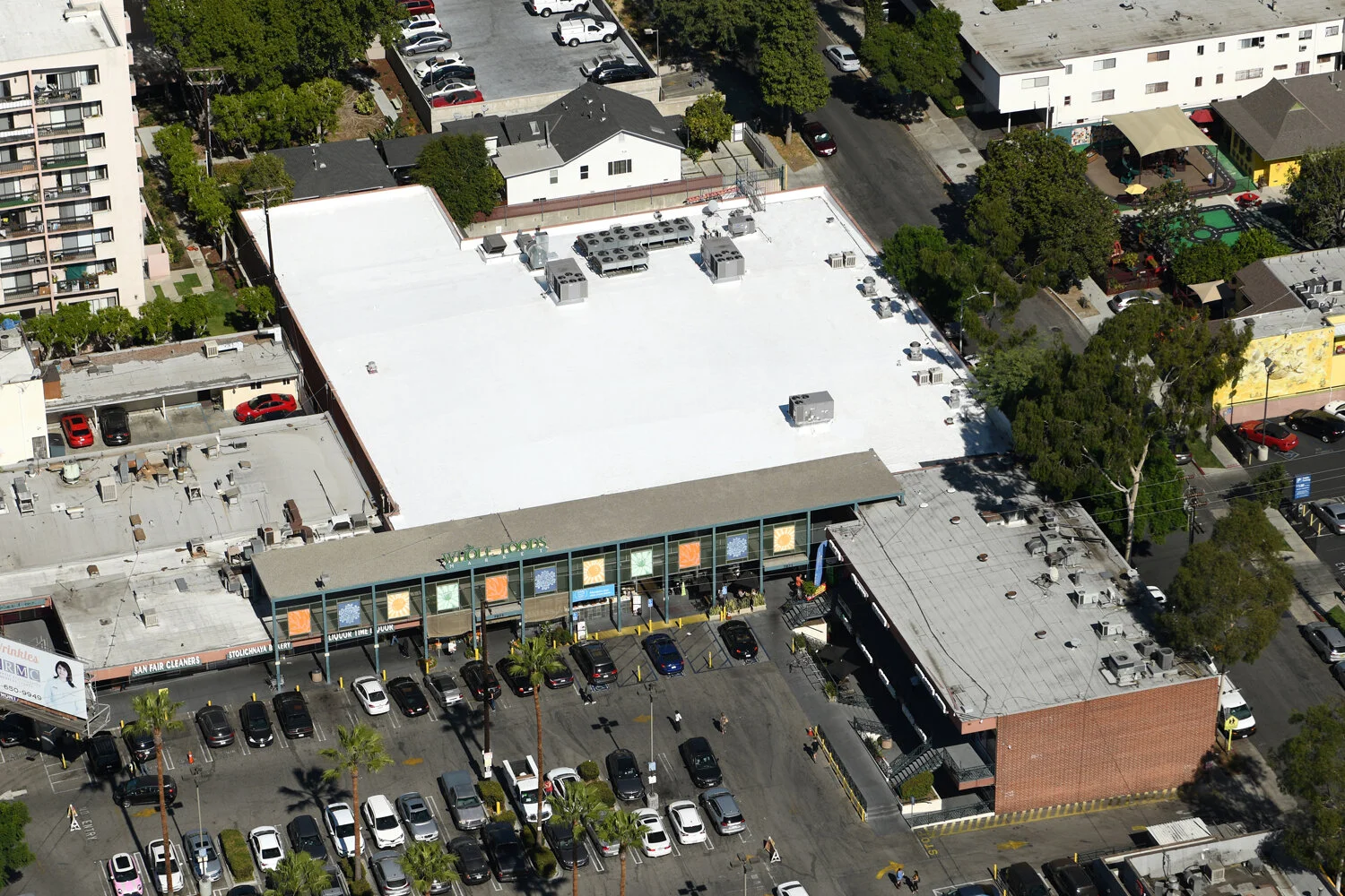 2019 WHoleFoods_Color.jpg