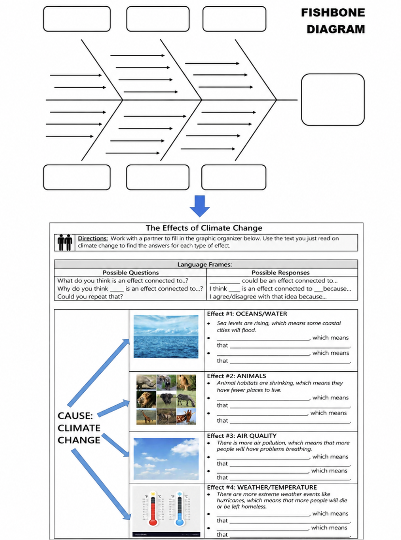 Why Your Graphic Organizer Isn’t Working for MLLs (And How to Fix It)