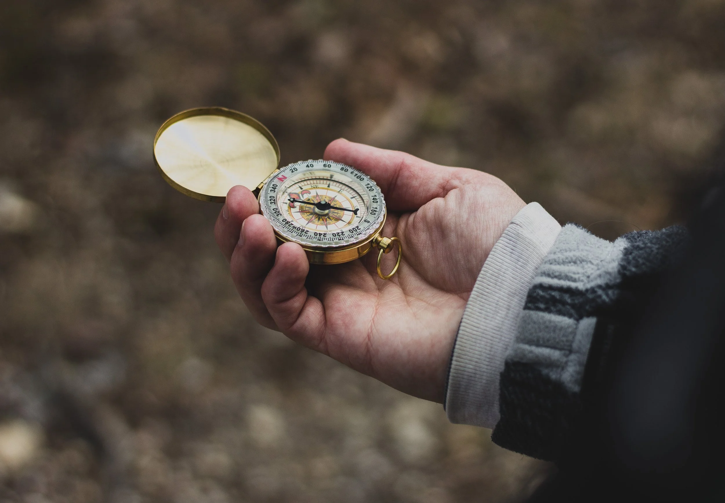 Compass Man Handethan-sykes-222962.jpg