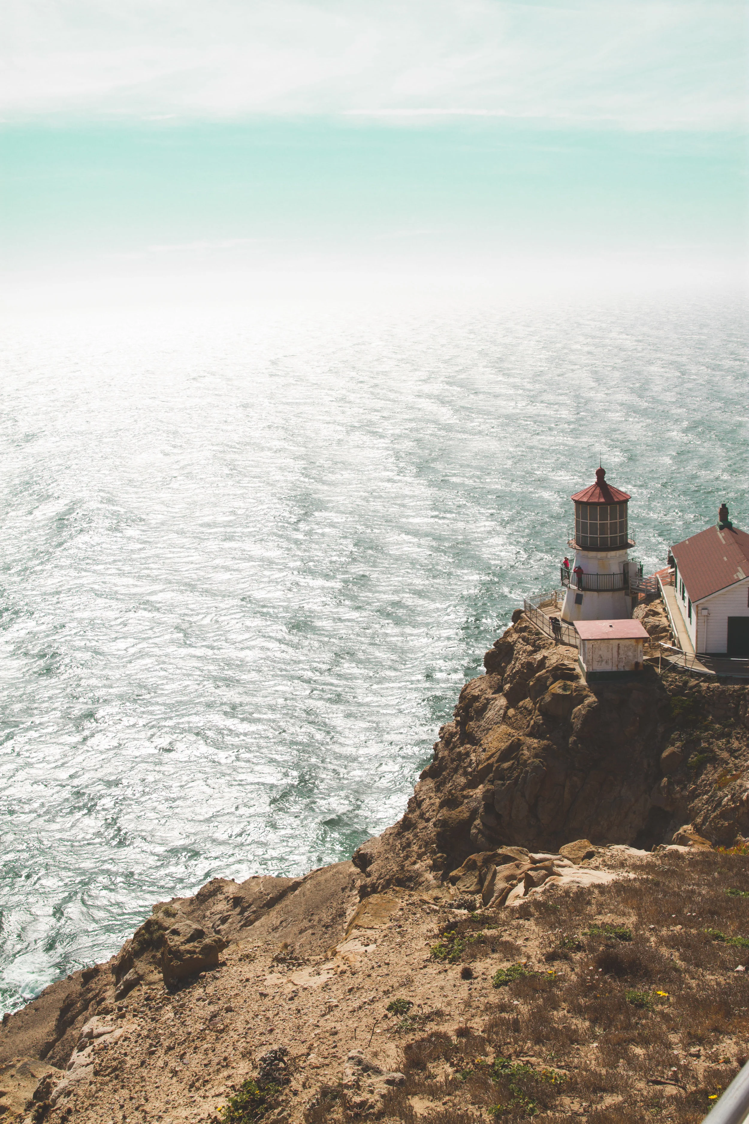 black and white1.jpg