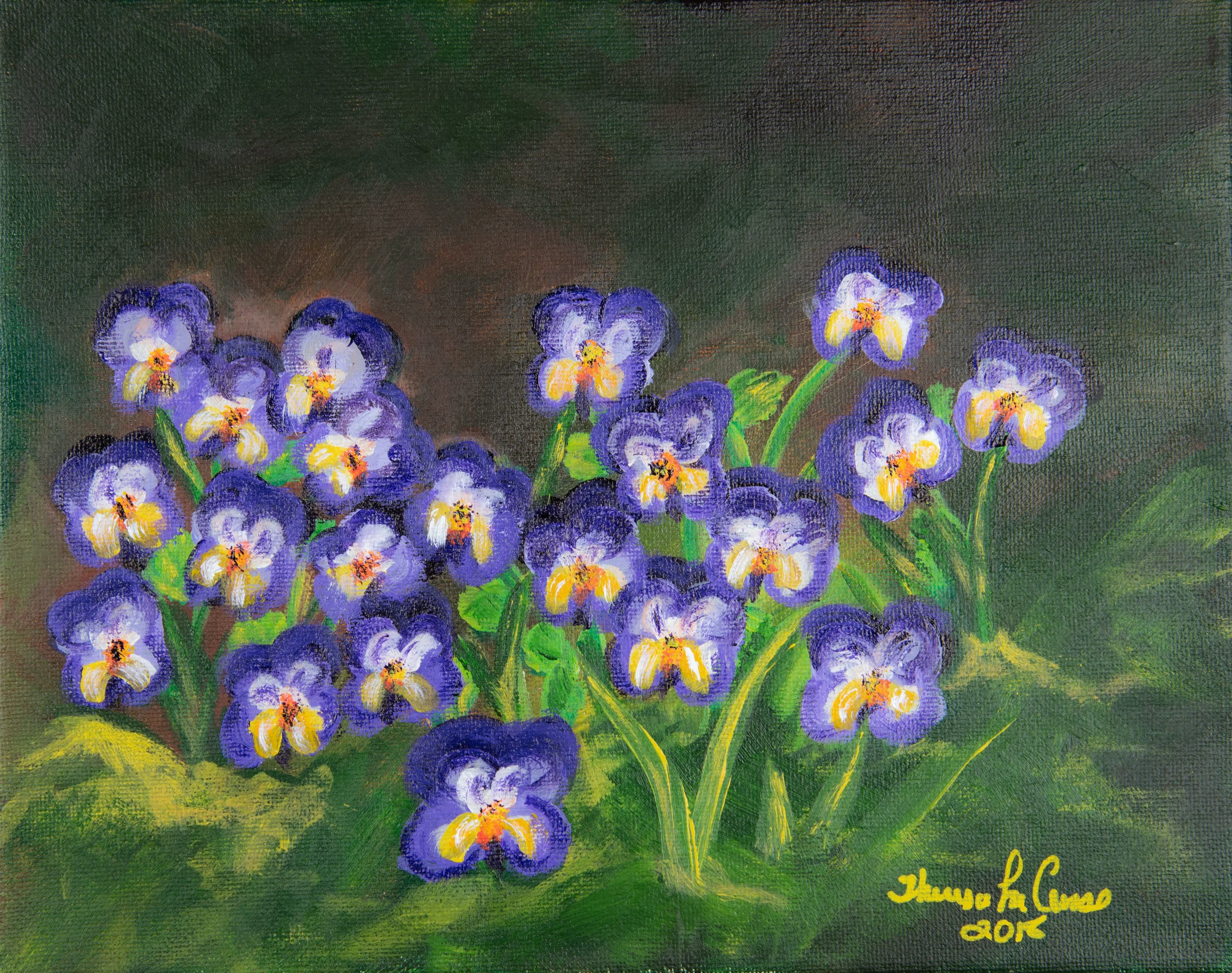 Springtime Johny Jump Ups