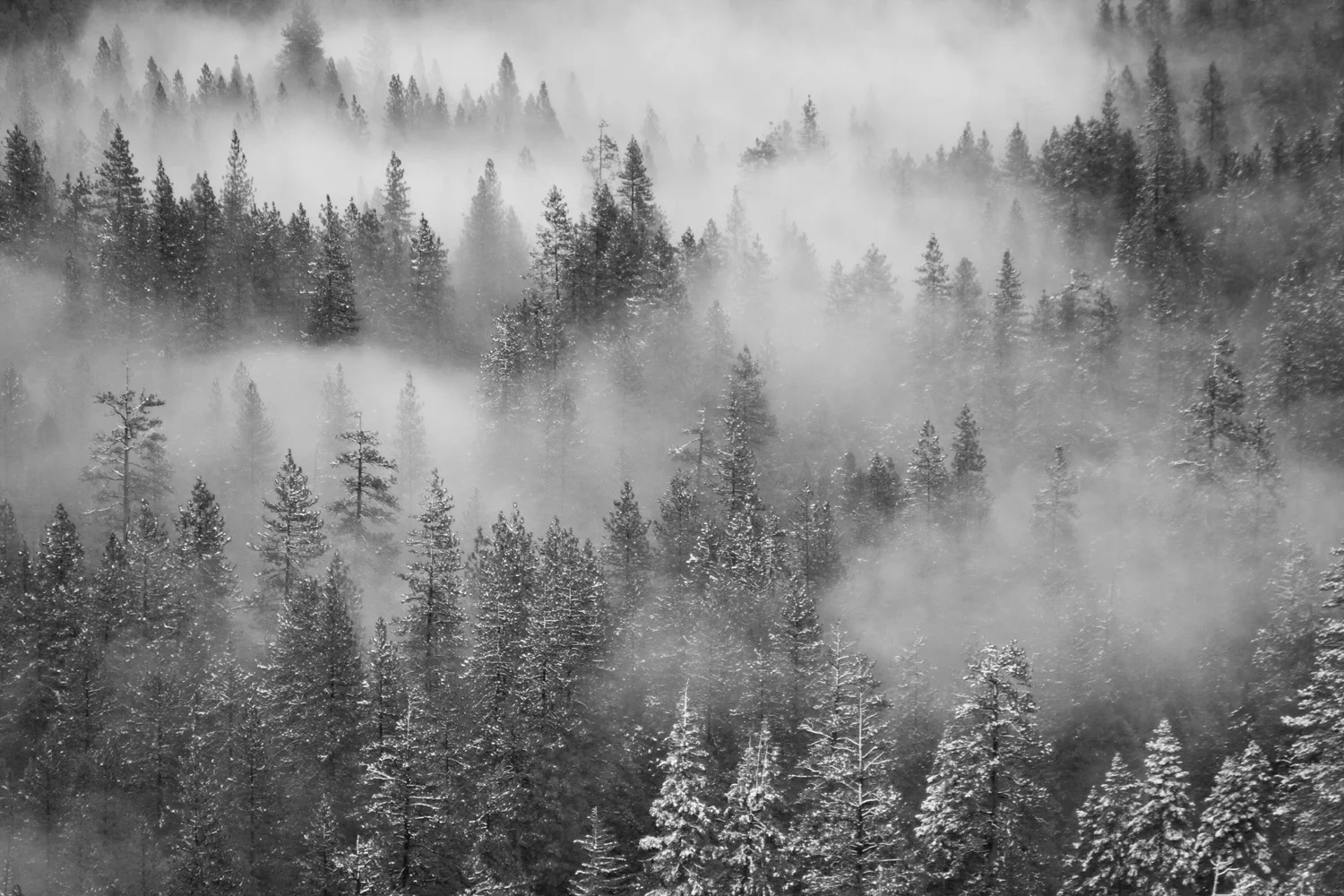 lb121110_0354.jpg