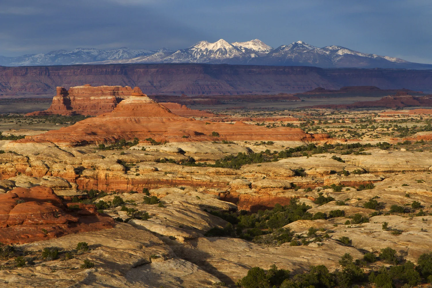 lb170316_4229.jpg