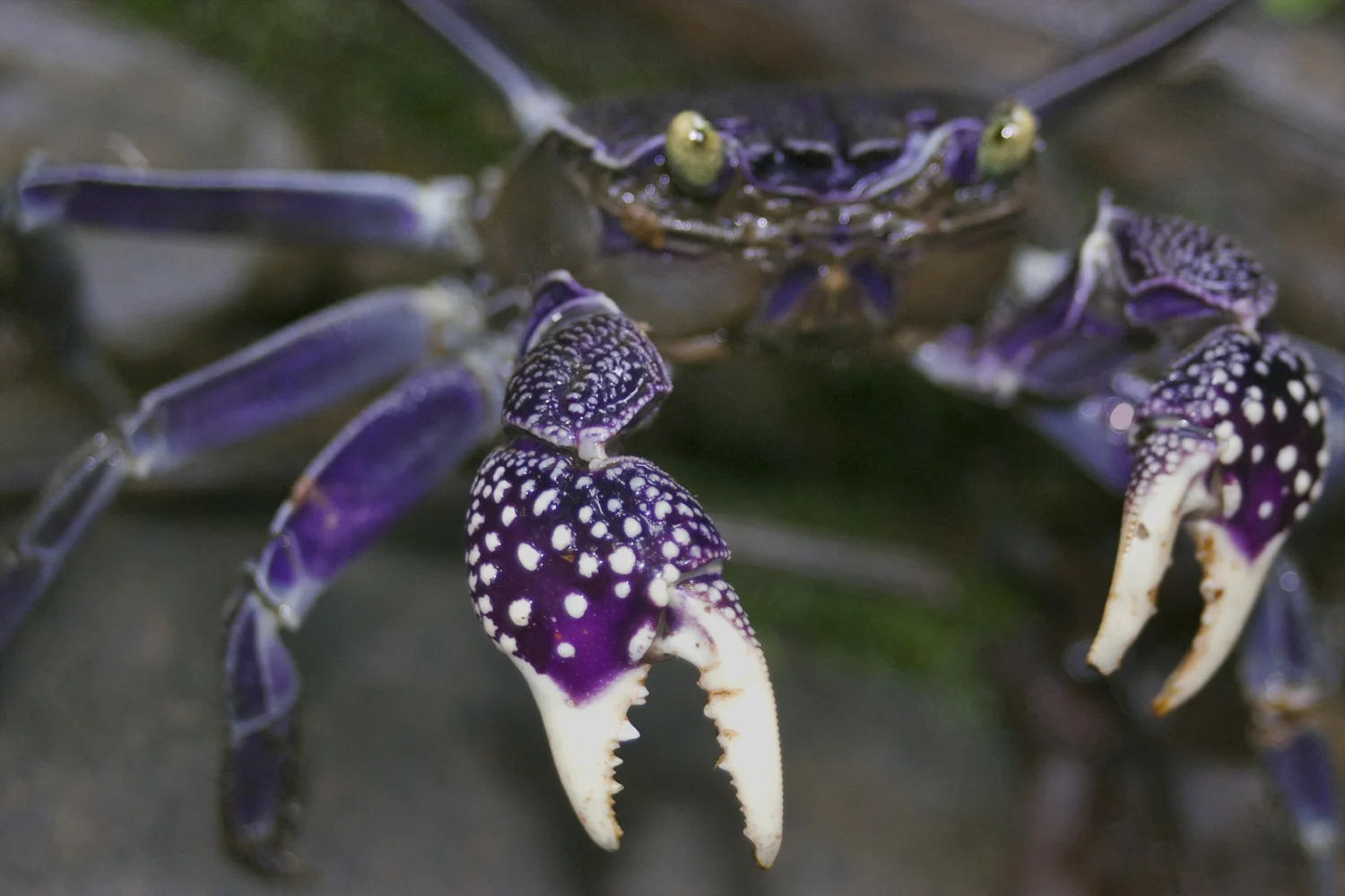 crw_1320.jpg