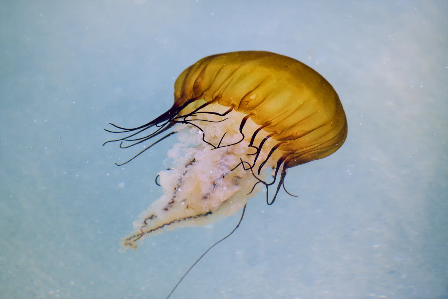 lb110124_0546.jpg