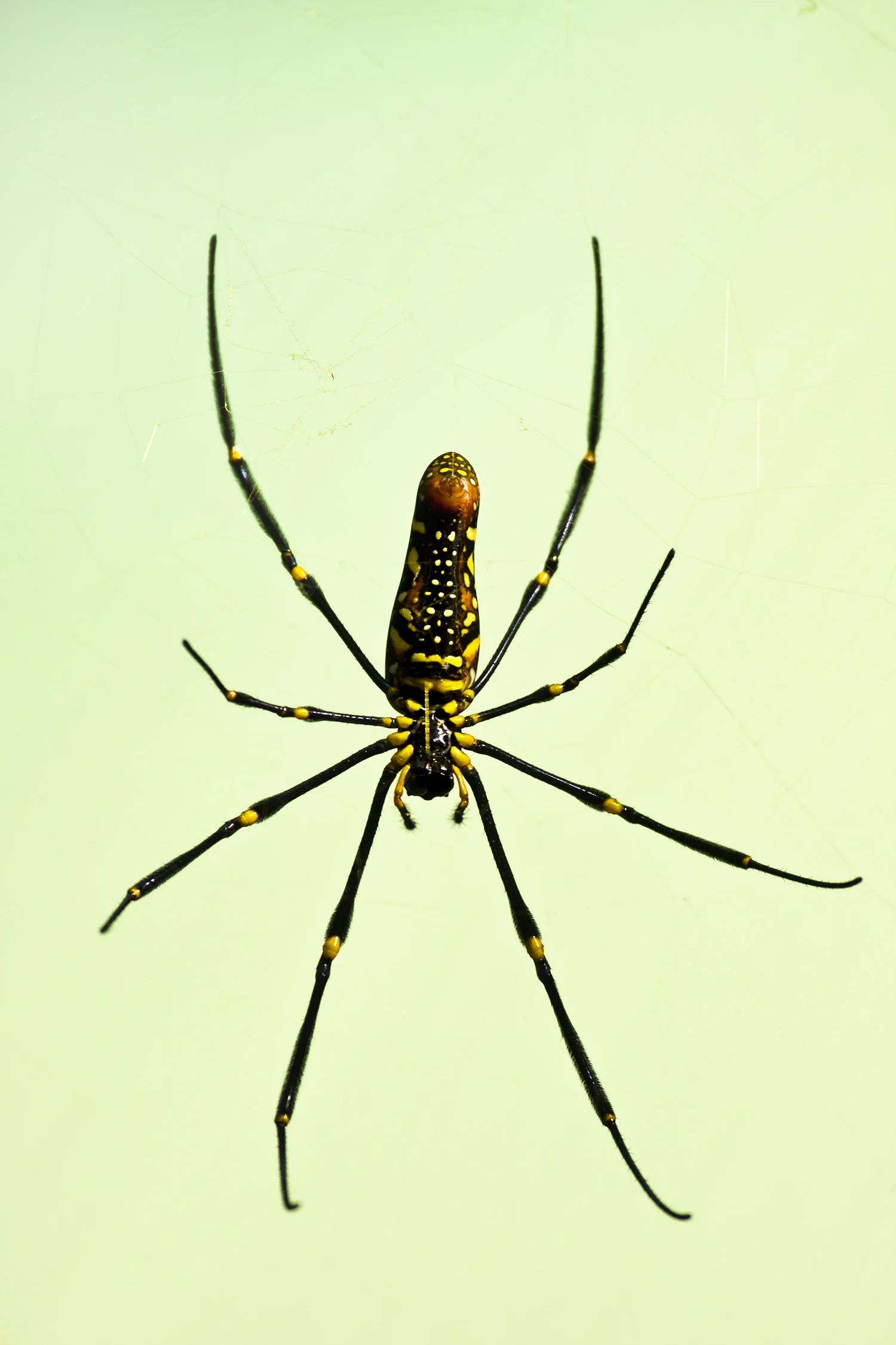 lb120118_6871.jpg