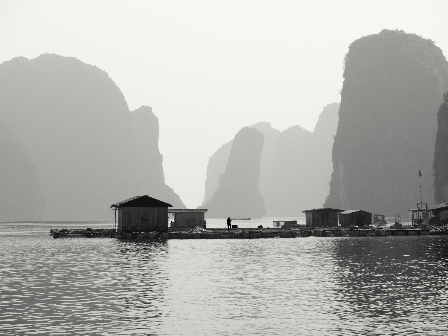 lb131204_1374.jpg