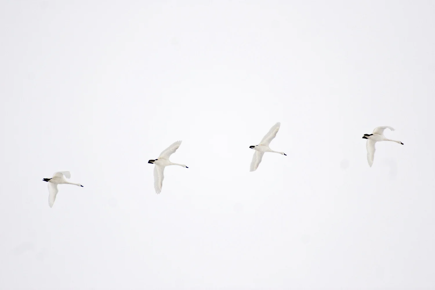 20071229_0568.jpg