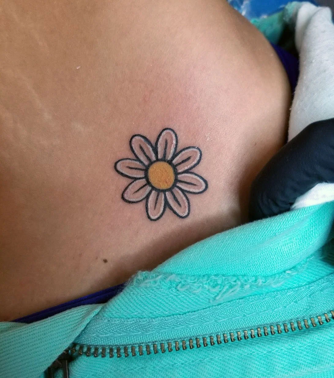daisy.jpg