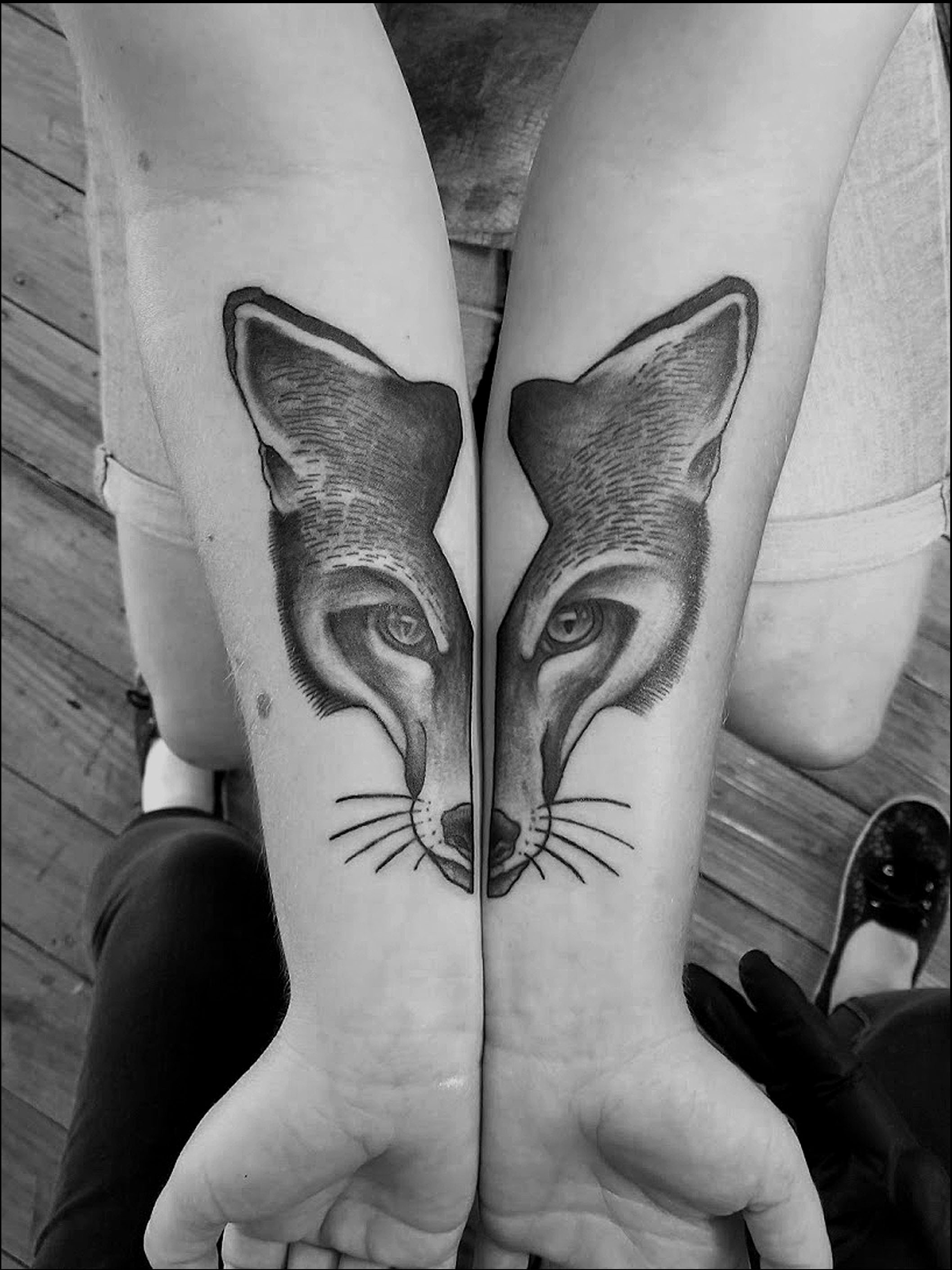 fox facee.jpg