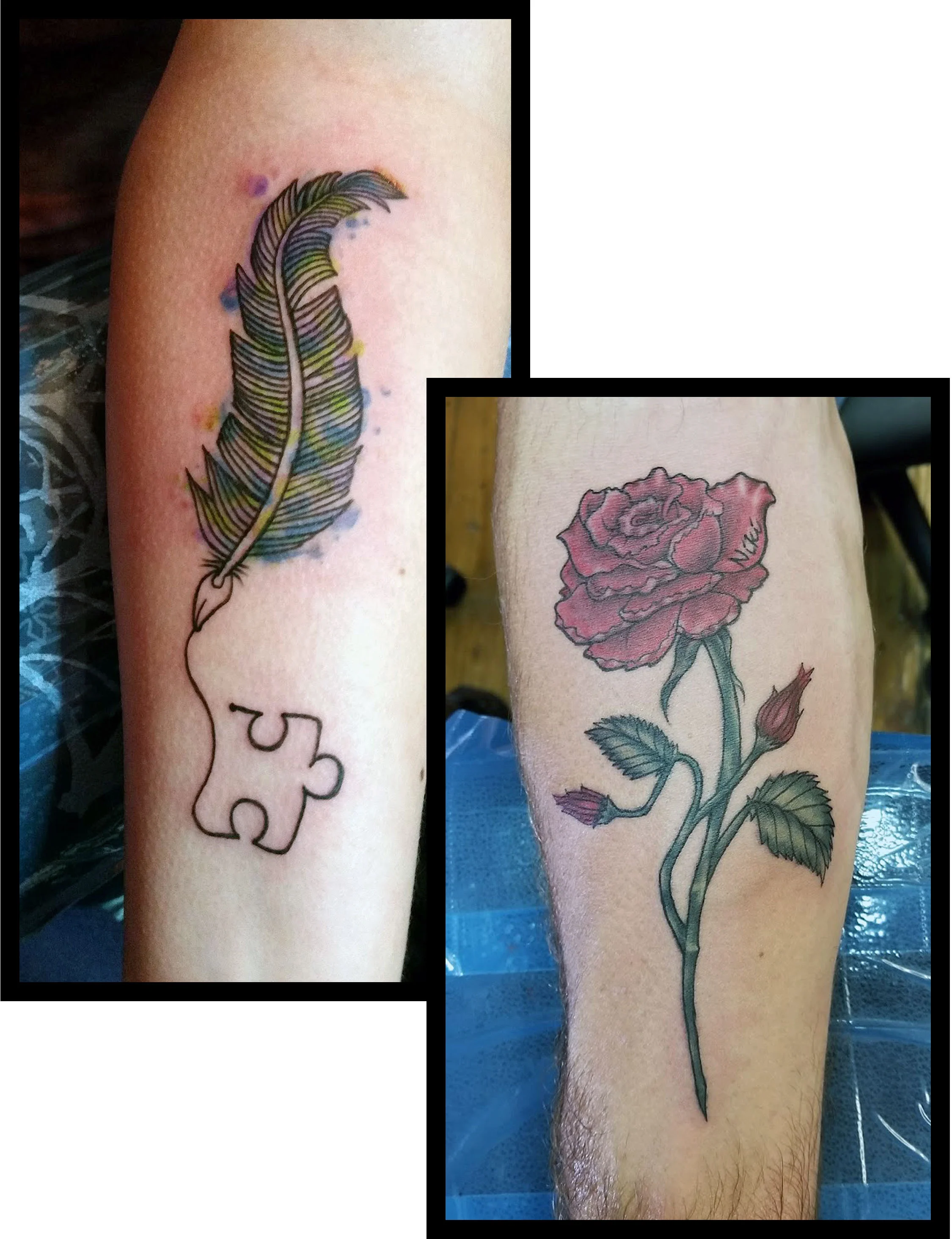 rose and feather.jpg