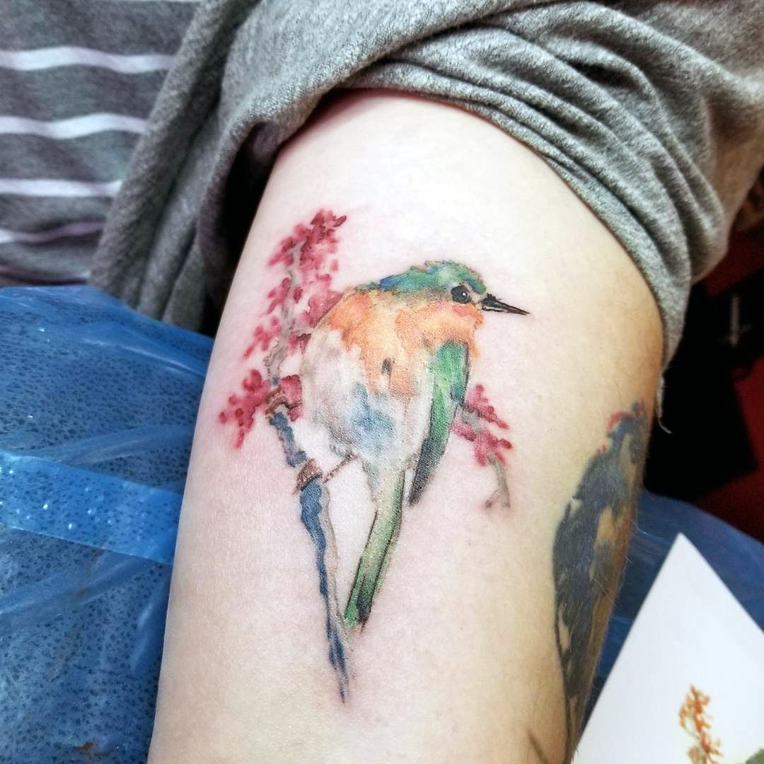 watercolor robinnnnnn.jpg
