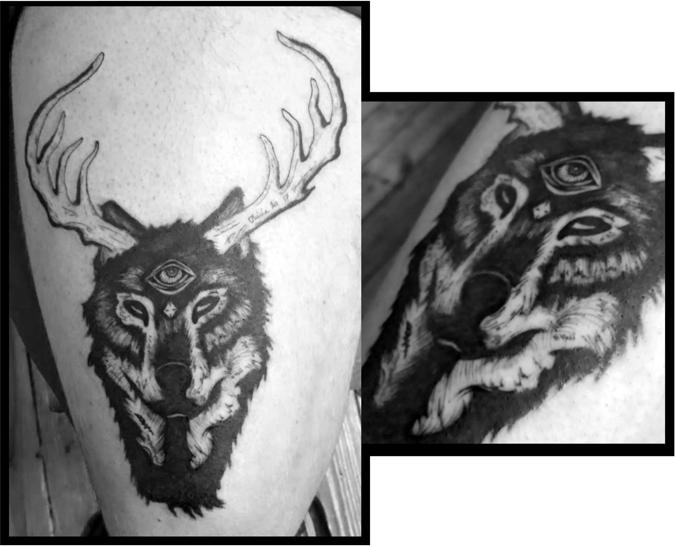 wolf antler page.jpg