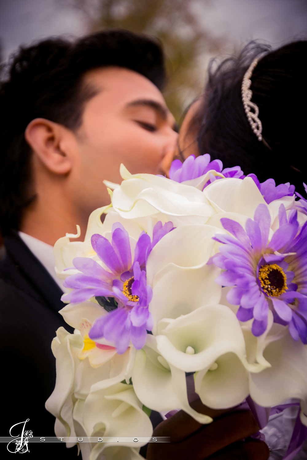 DSC_8694(1)-small.png