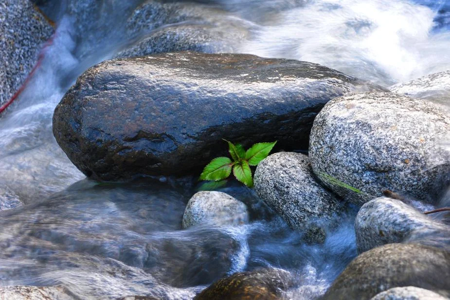 round-stones-in-rushing-water_925x.jpg