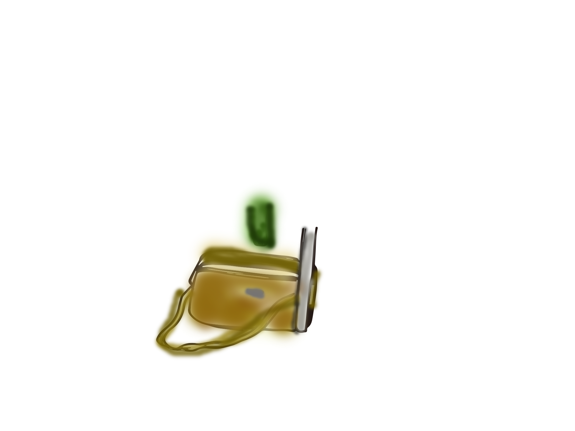 steal bag.png