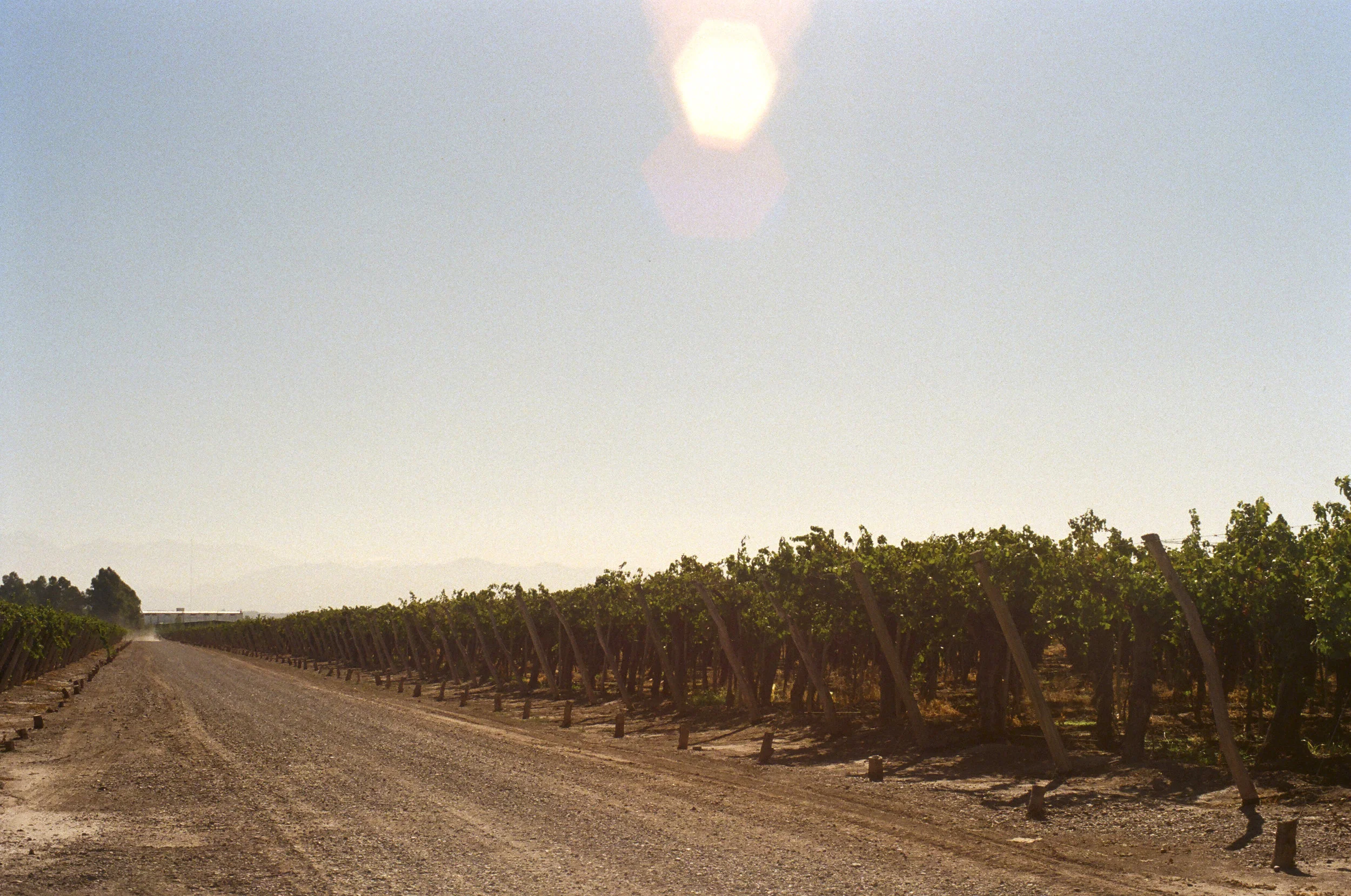Mendoza 2.jpg