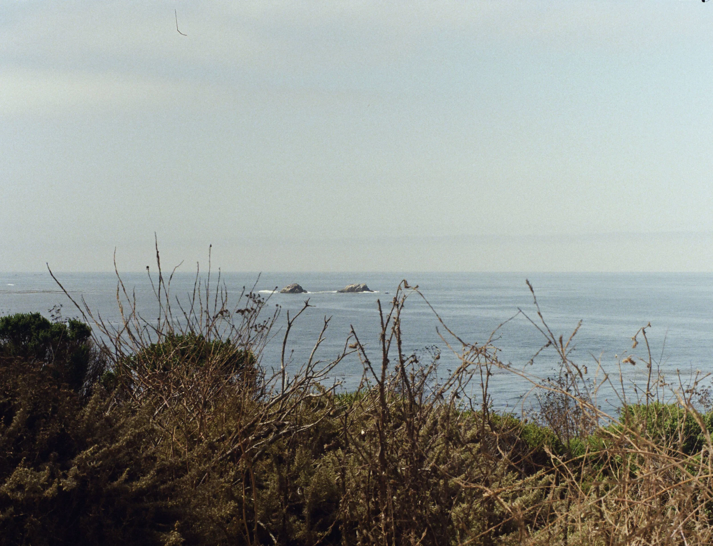 Big Sur 2.jpg