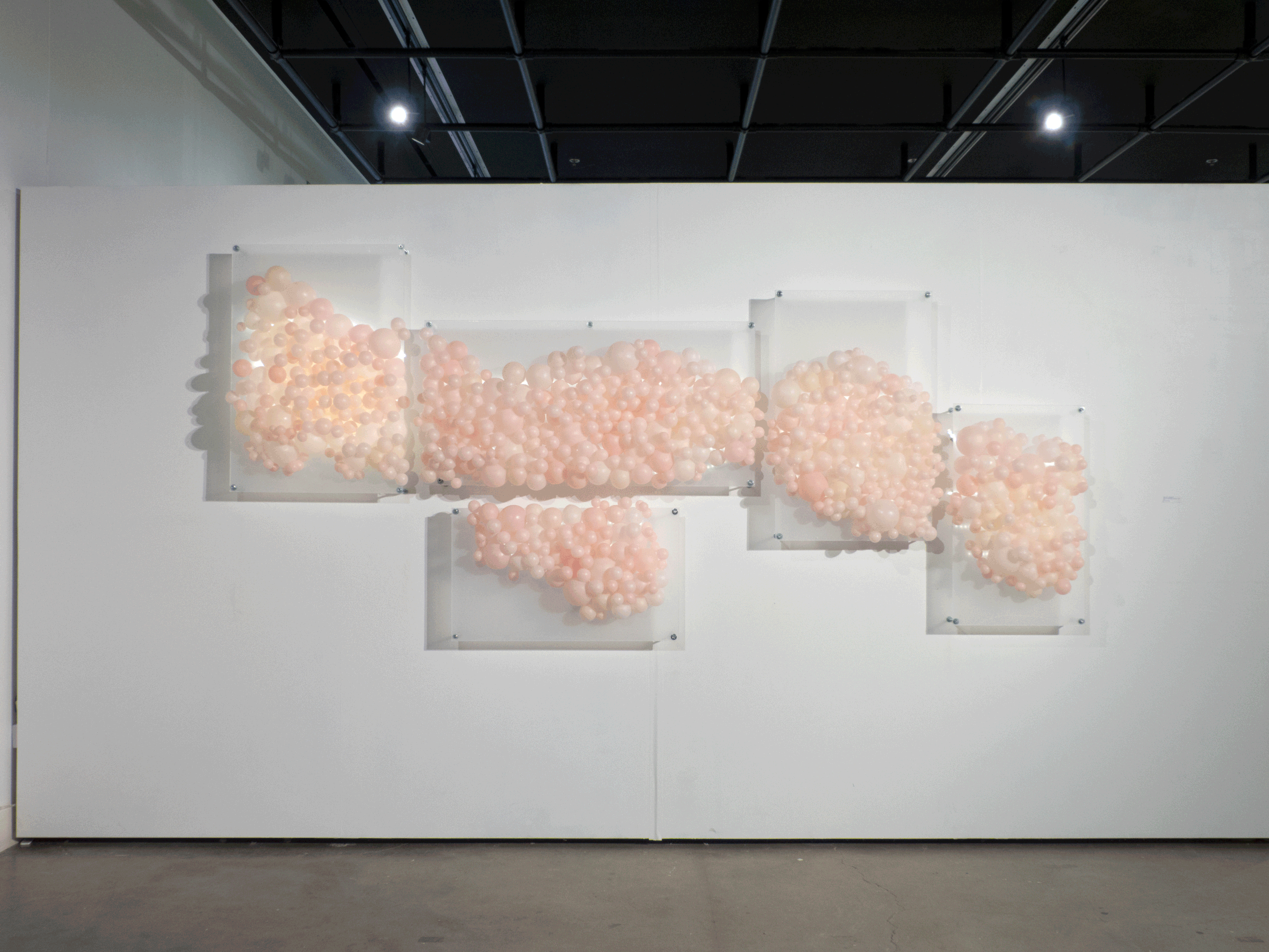 Figure 7. Duodenum. Wax, Acrylic Plexiglass, LED Lights, Hardware. 96’’ x 10’’ x 48’’. 2013