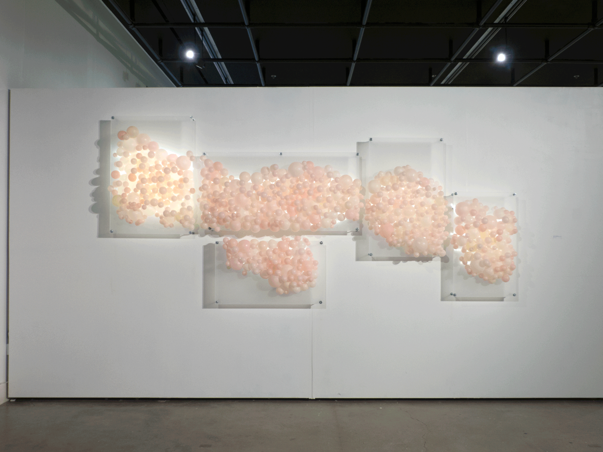 Figure 7. Duodenum. Wax, Acrylic Plexiglass, LED Lights, Hardware. 96’’ x 10’’ x 48’’. 2013
