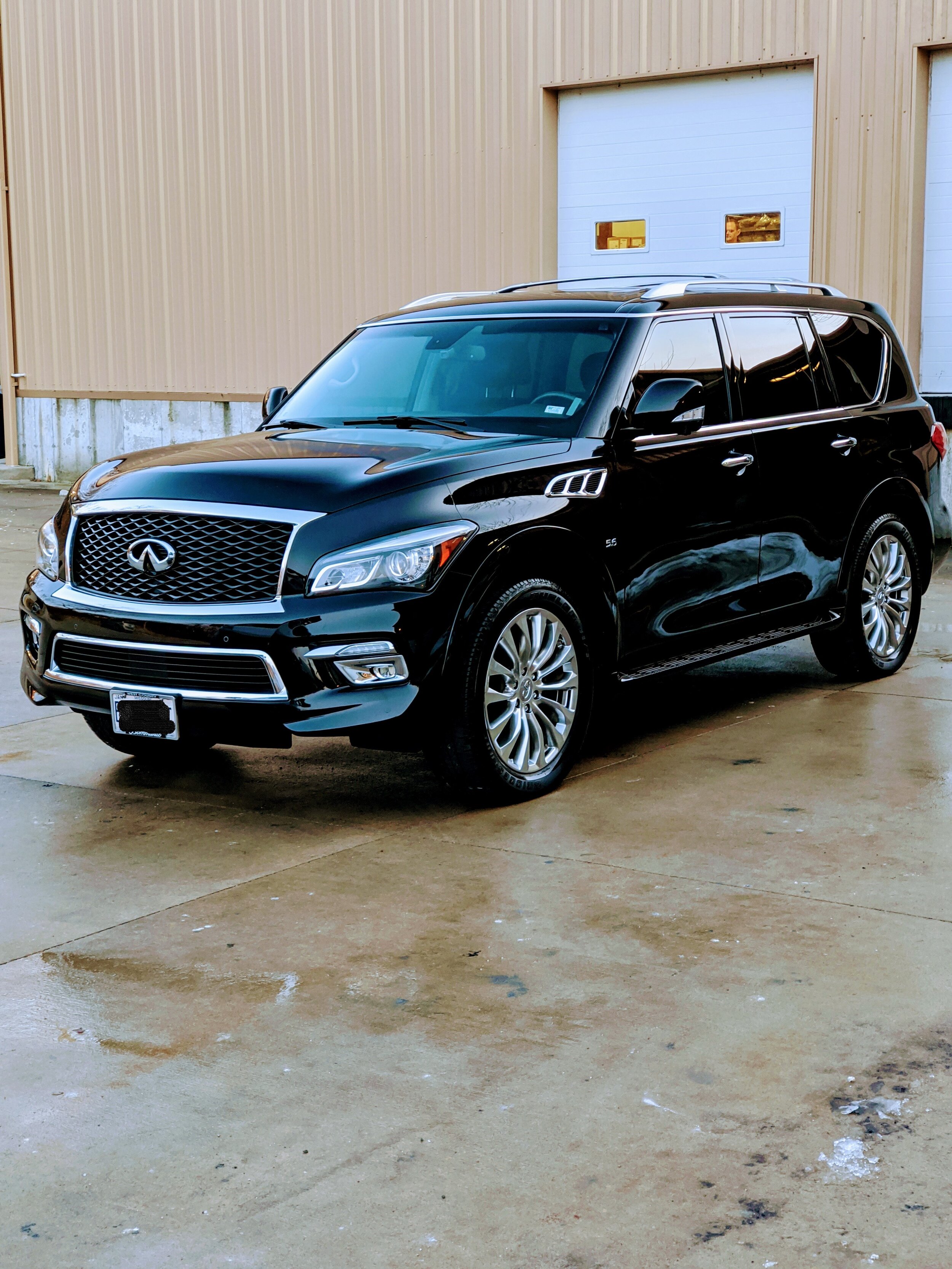 Infinity QX80