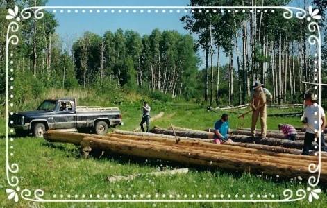 Friends and extended family helping with the log peeling