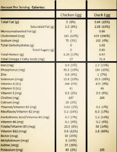 Egg Comparison Chart.jpg