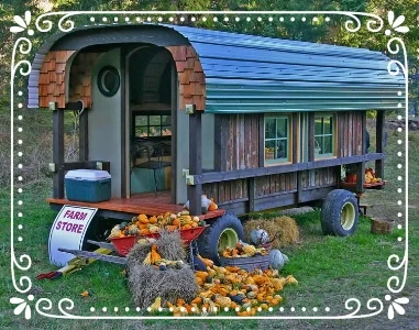 Not our farm store, but really quaint.