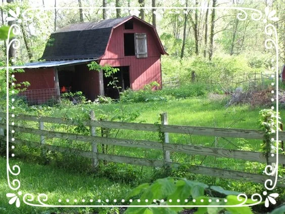 barn.jpg
