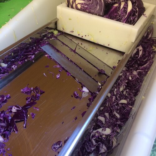 Shredding Cabbage for Ruby Sauerkraut