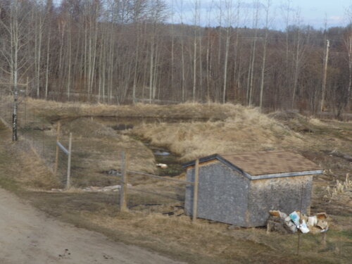 Year one of the permaculture orchard Pond and swales in place waiting for trees.