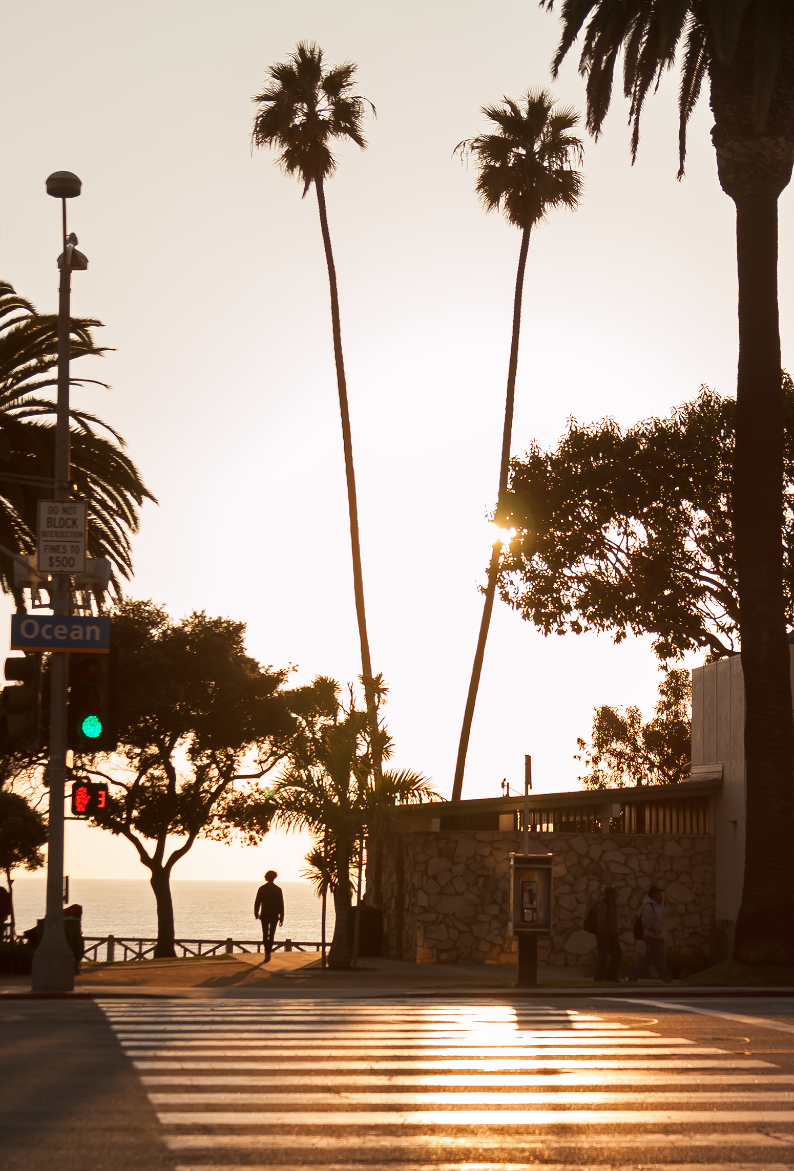 sm_ocean_ave.png