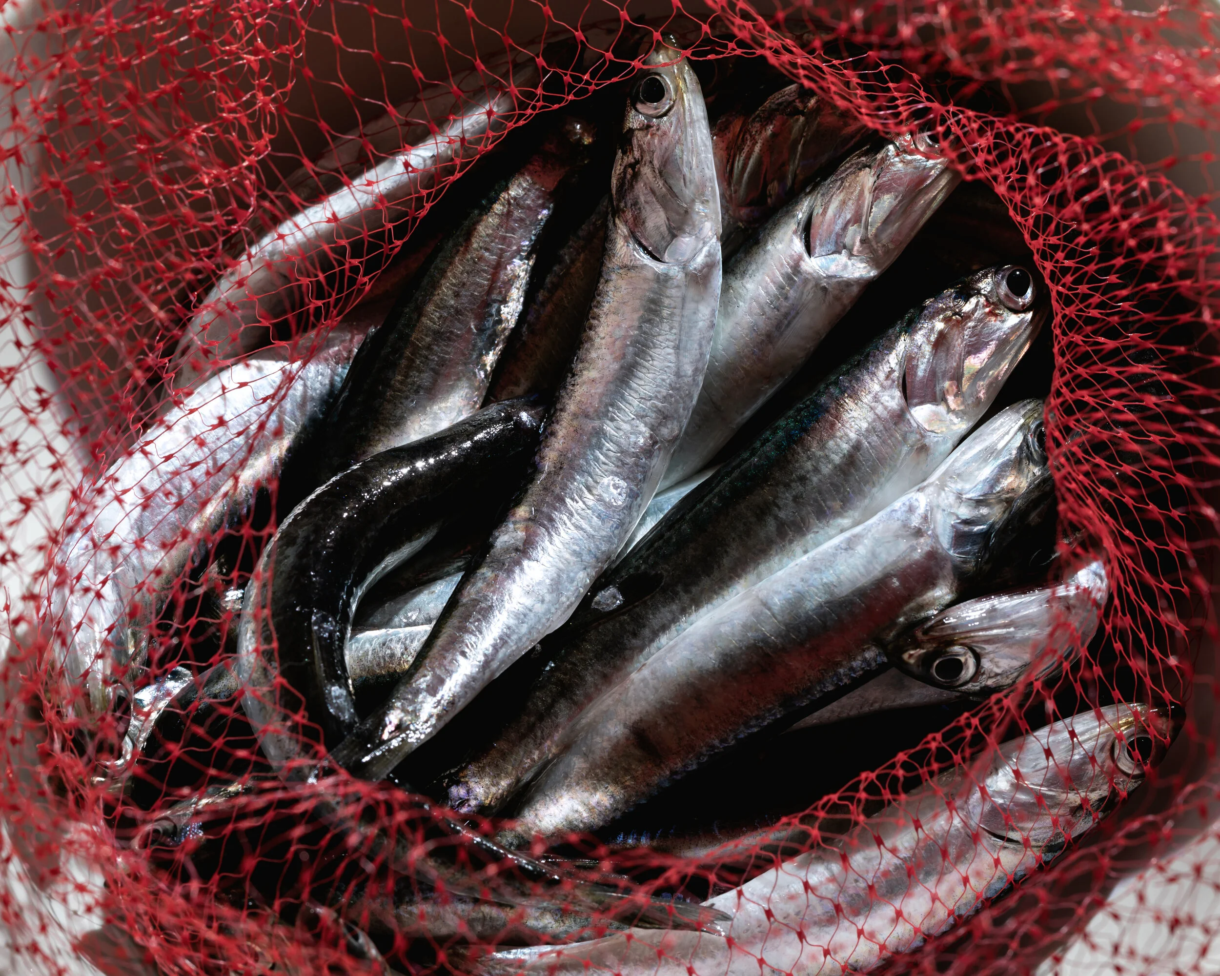 San Francisco Food and Beverage Photography Food Photography