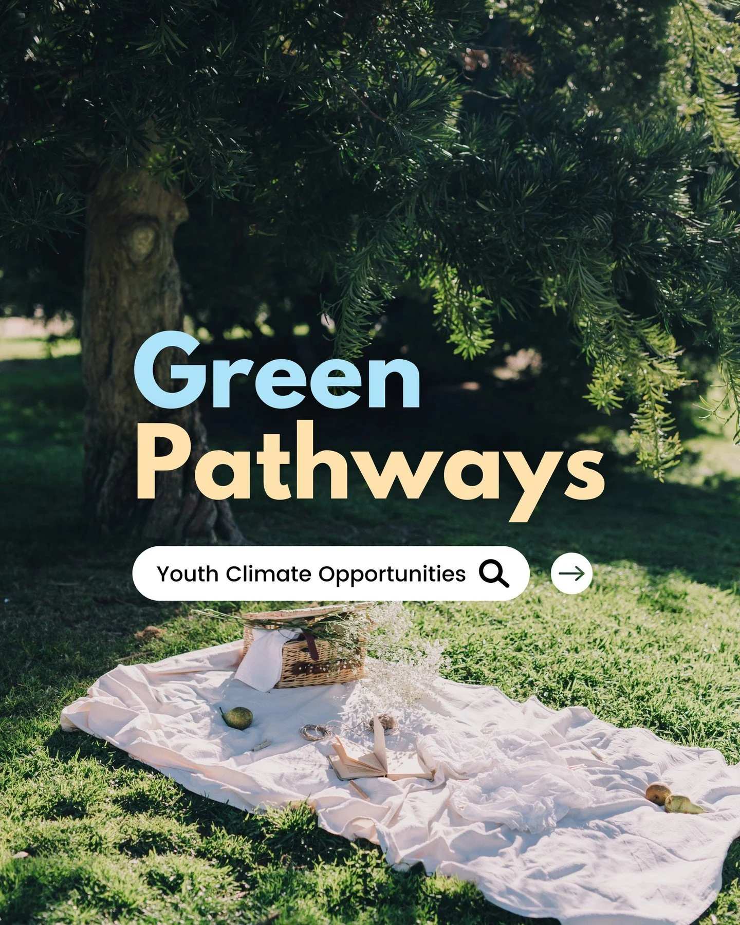 The link to our opportunities board can be found in our bio! 🌟⁠
⁠
🧺 Program Officer, Climate with McConnell Foundation | APPLICATIONS DUE JULY 9⁠
⁠
🧺 Strategic Operations and Program Coordinator with Inclusive Prosperity | APPLICATIONS DUE JULY 11
