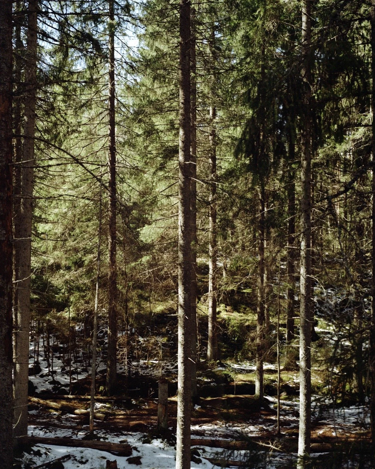 edbf9877-ca06-4407-b978-4f42993f6fd7.JPG