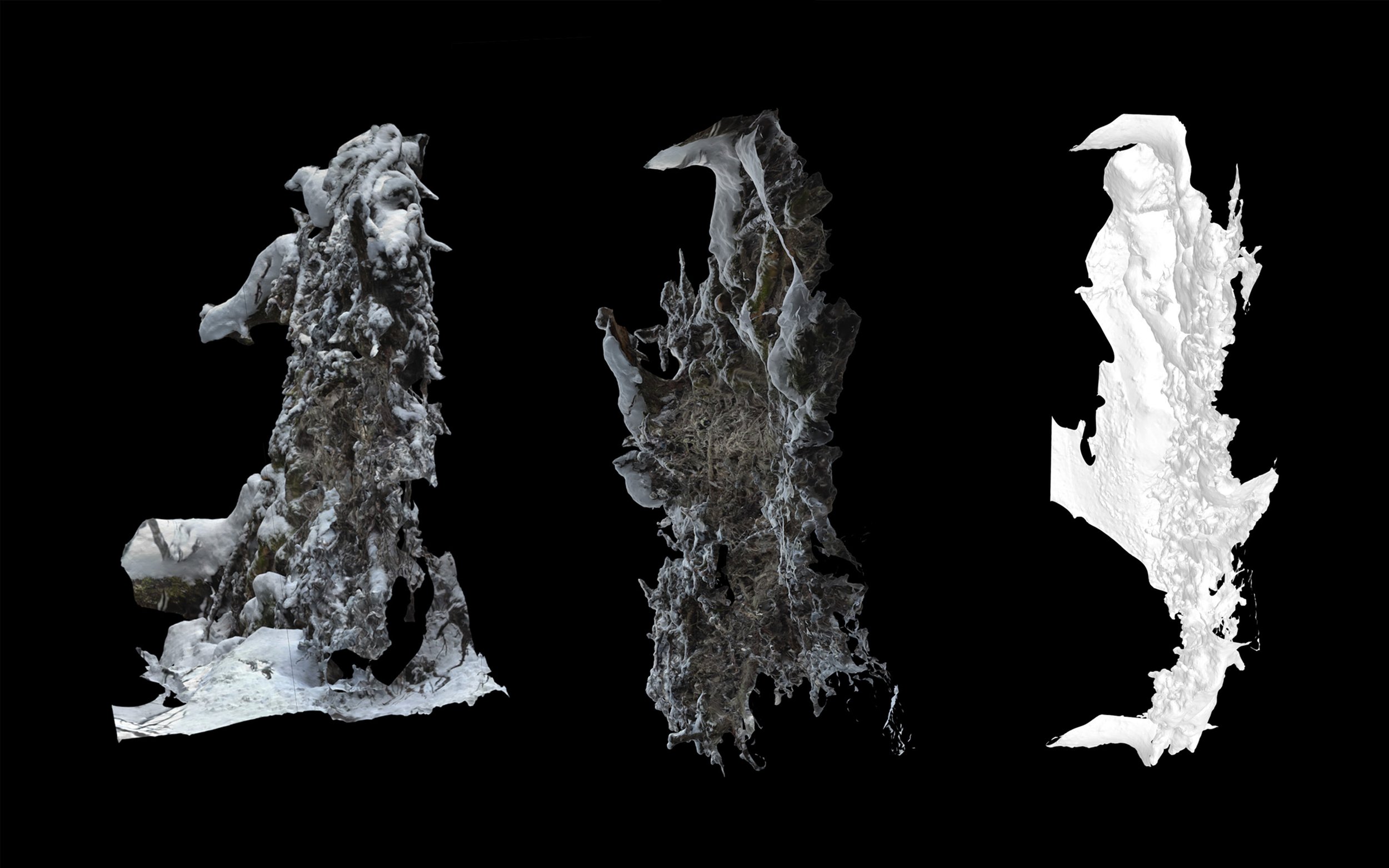 Image 2_Enni-Kukka Tuomala_Metsäarvot (Forest Values, WIP)_2021-24.jpg