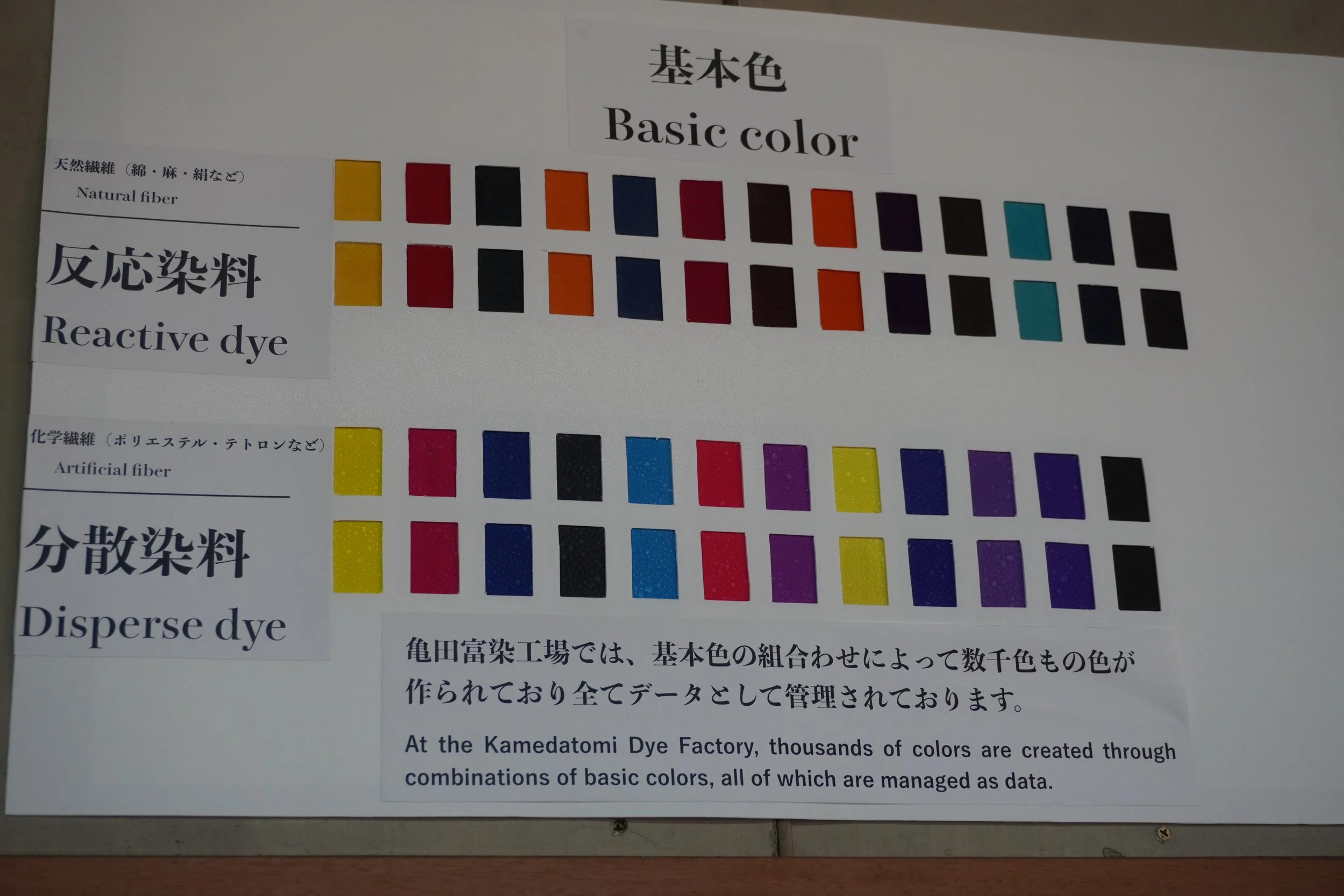 DSC00861.JPG