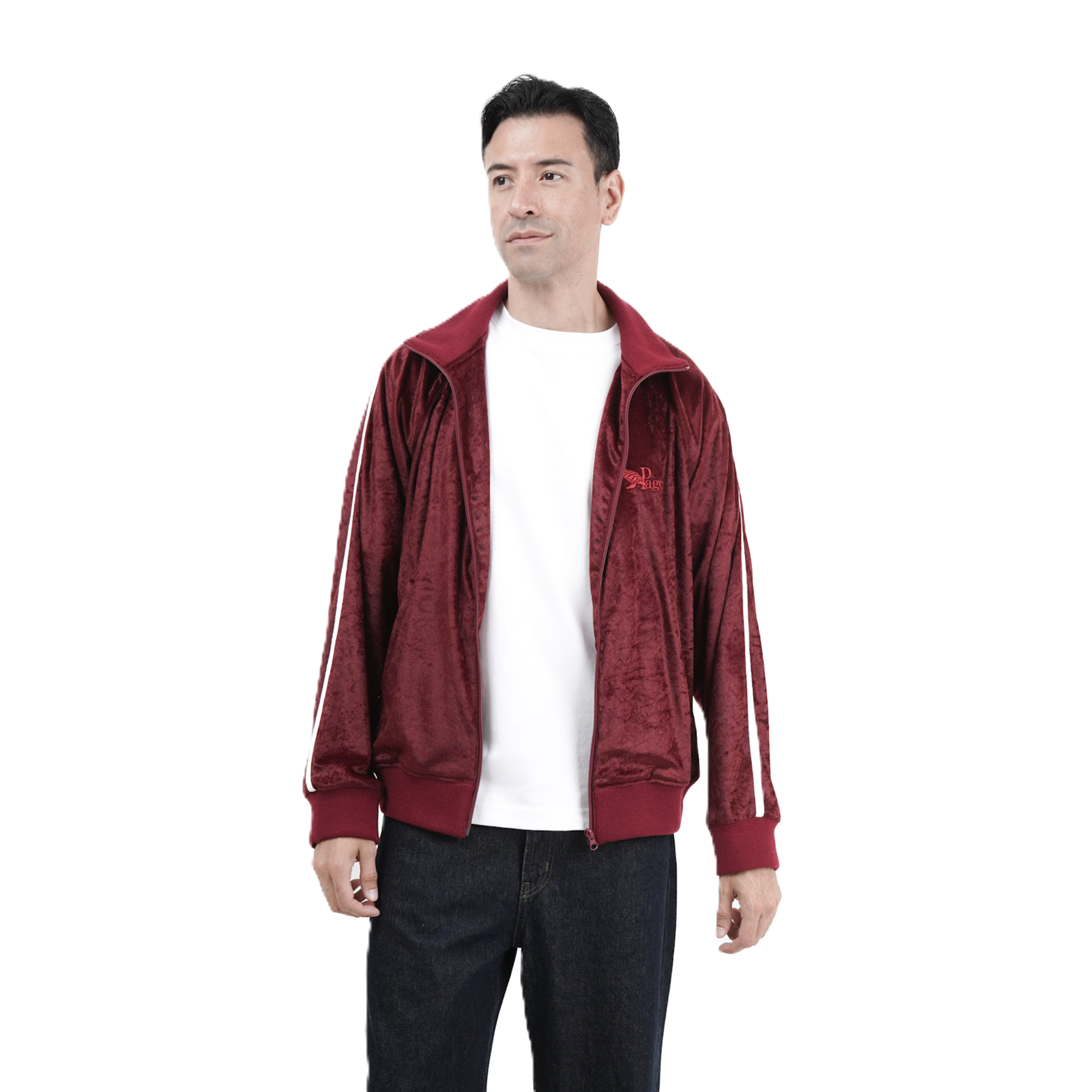 the-hawk-velour-jacket-pagong-1.png