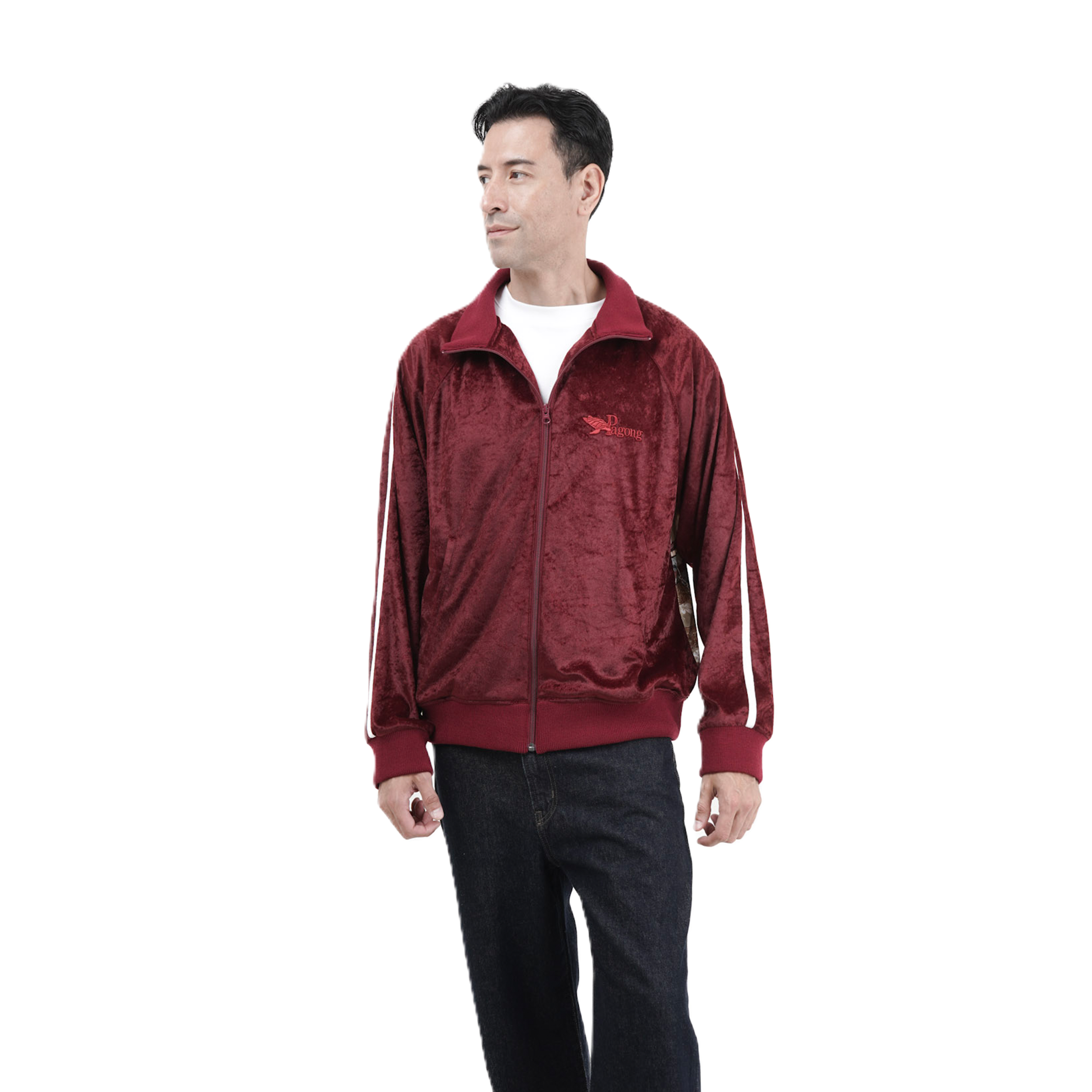 the-hawk-velour-jacket-pagong-2.png