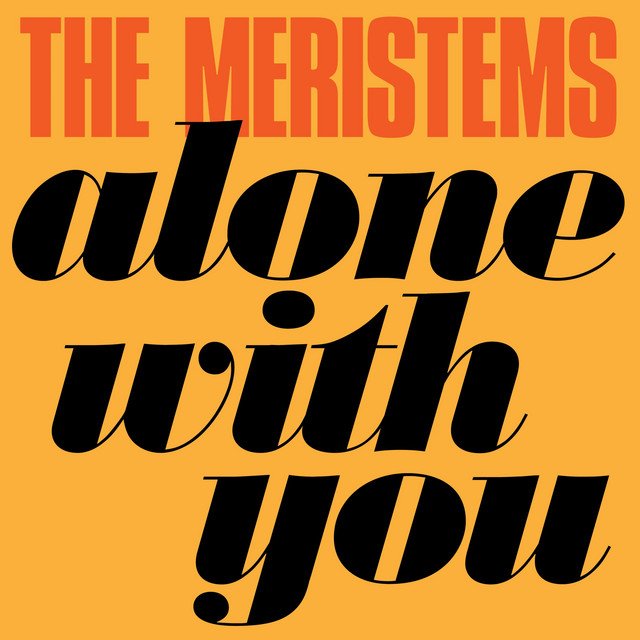 Meristems - Alone With You cover art.jpeg
