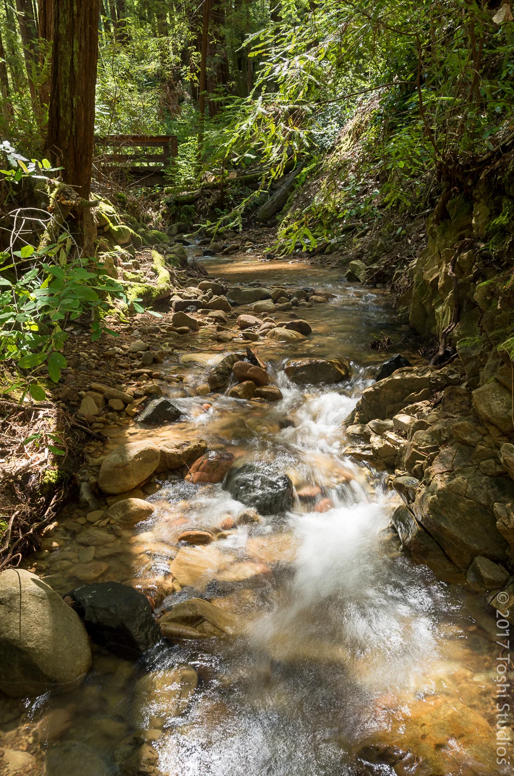  Creek at Huddart Park, California.  Available as a print. 