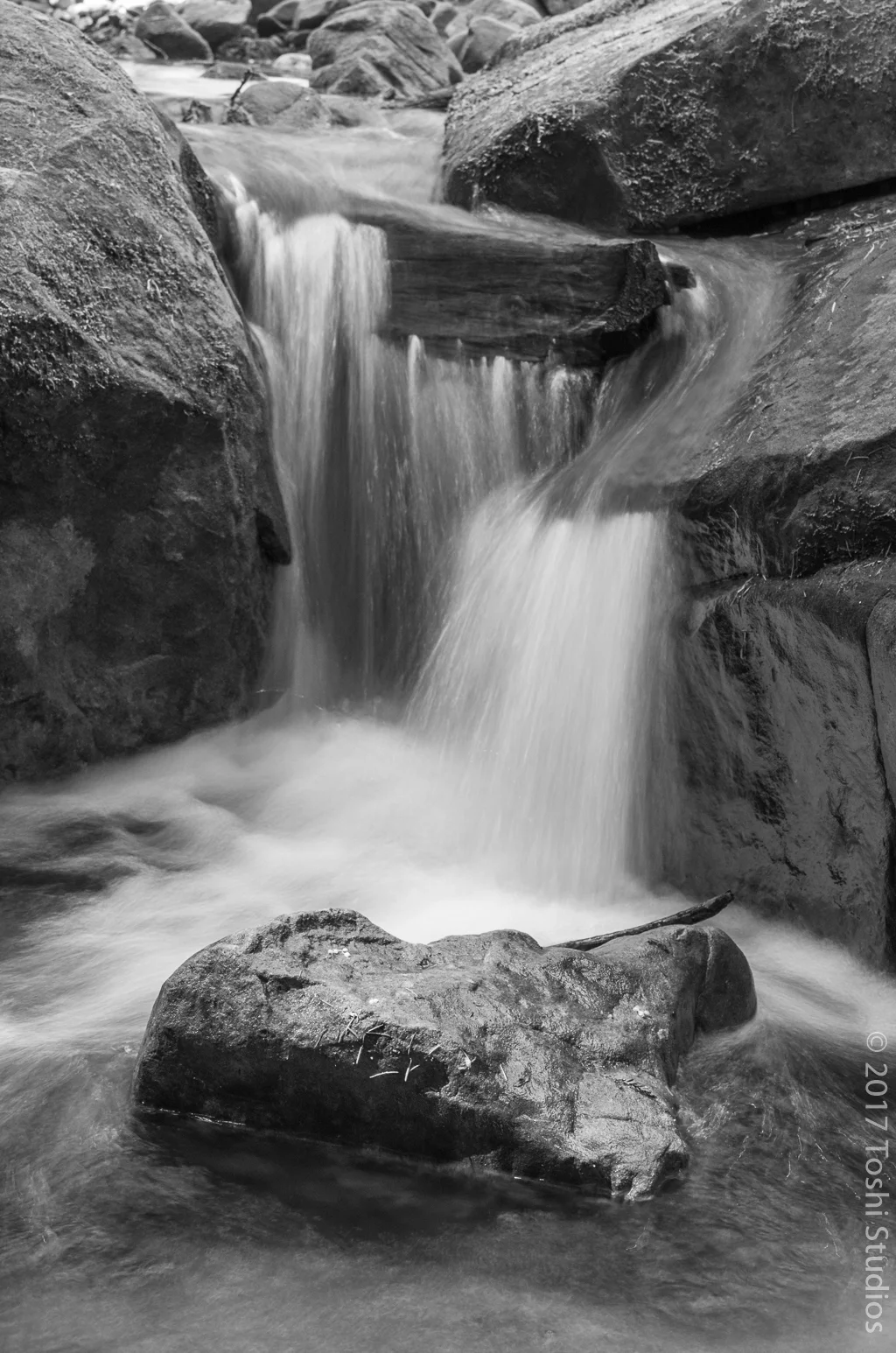  Boulder in stream at Huddart Park, California.  Available as a print. 