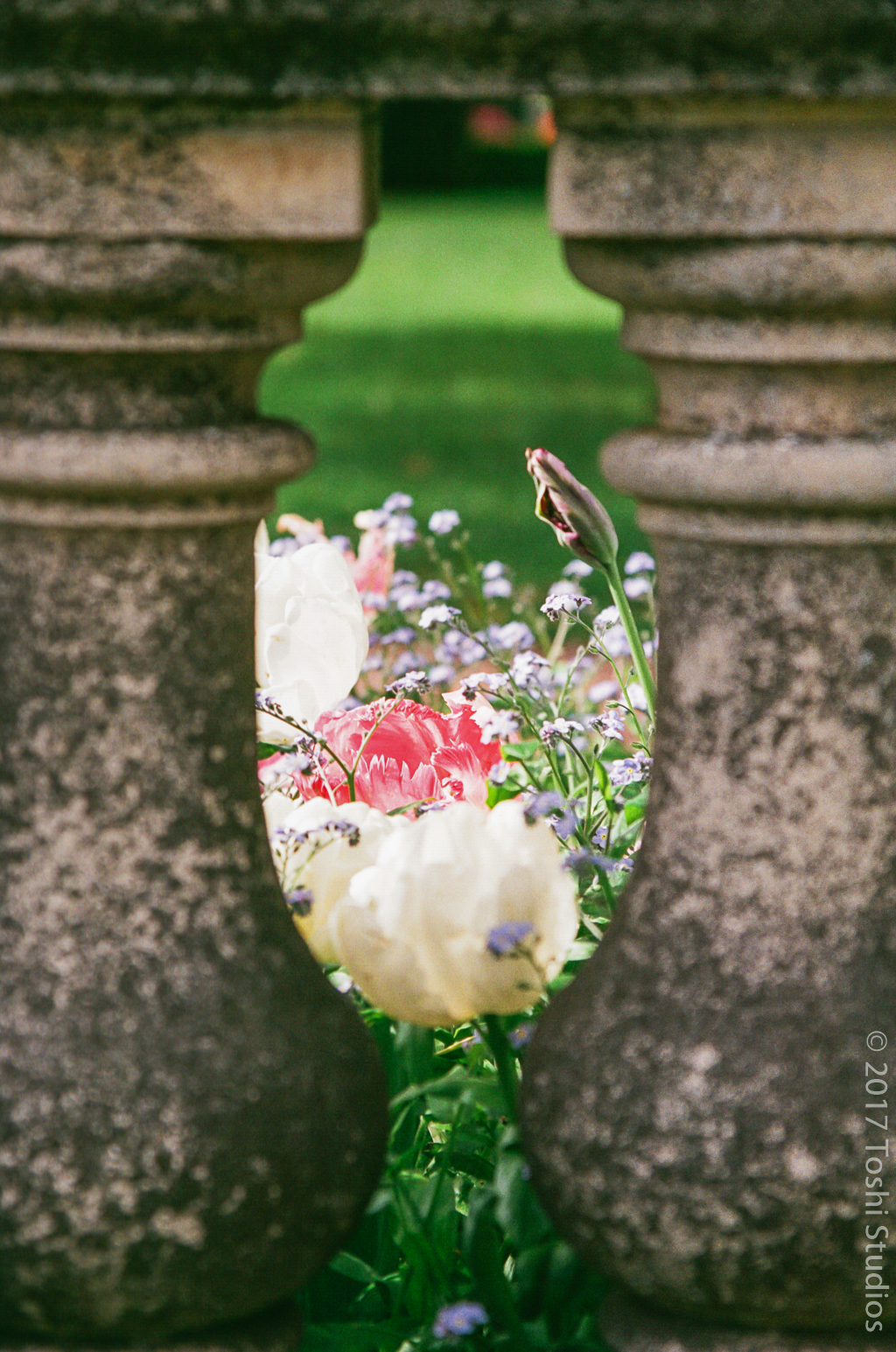 Painted Vase