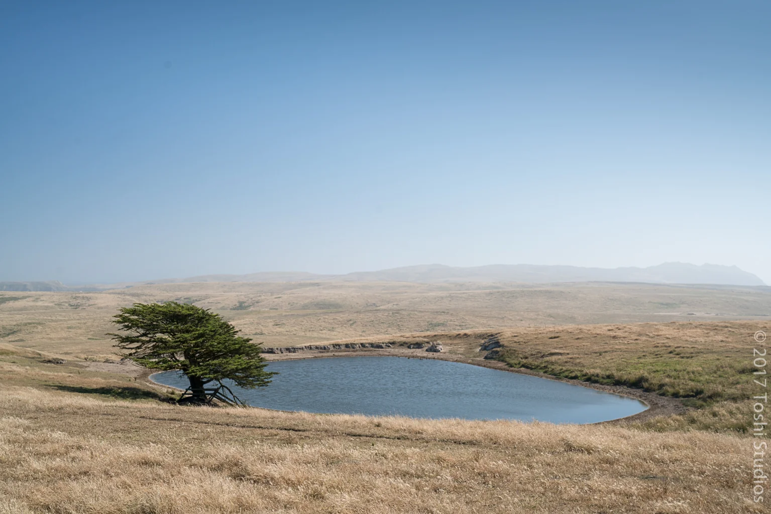  Lake at Point Reyes National Seashore.  Available as a print.  20170711 